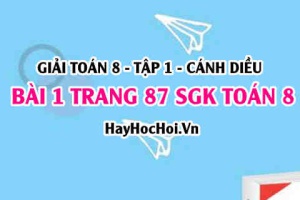 Giải bài 1 trang 87 Toán 8 Tập 1 SGK Cánh Diều